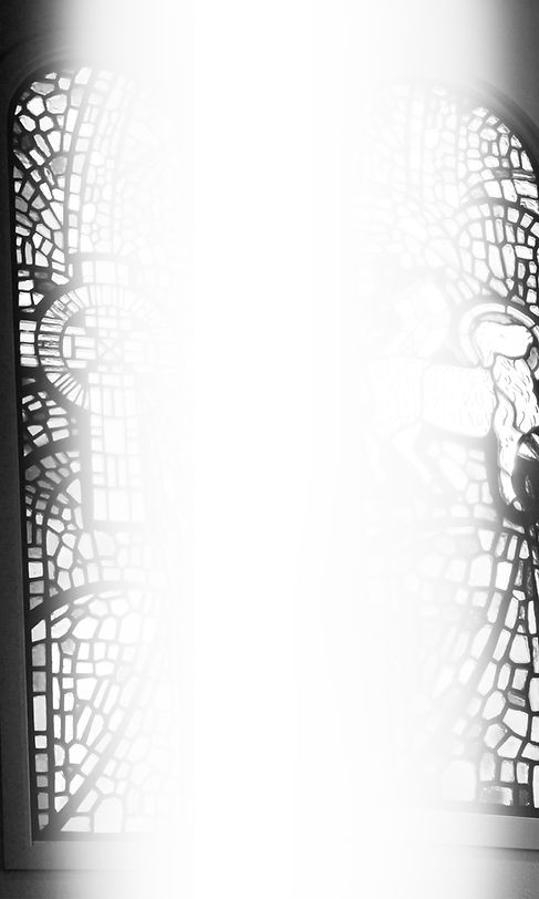 FPC Long Web Background Test.jpg