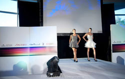 IMG_25899808511174