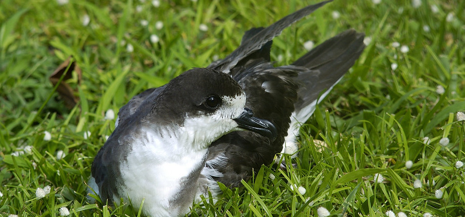 Image 9.jpg