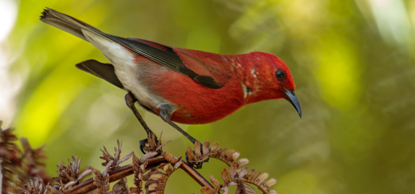 Image 9.png