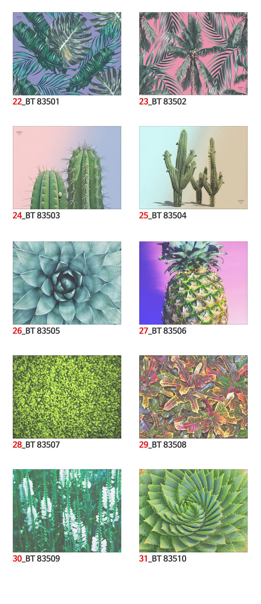 Thumbnail: Botanical Beach Towel