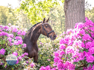 Wat een resultaten 🤩🌸