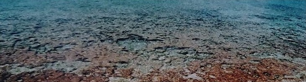 Etsy prints page.png