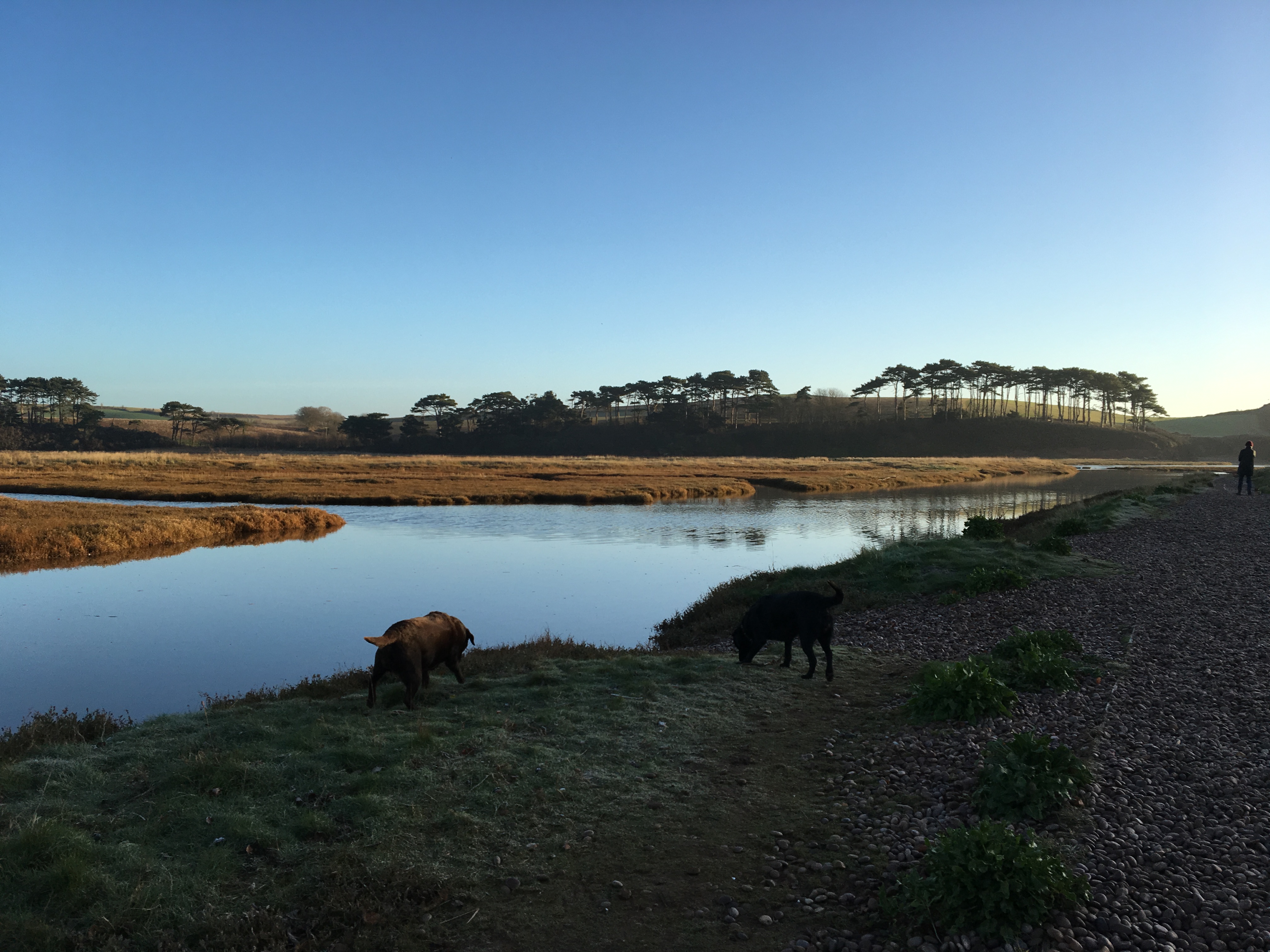 Bird watching/SW Coast
