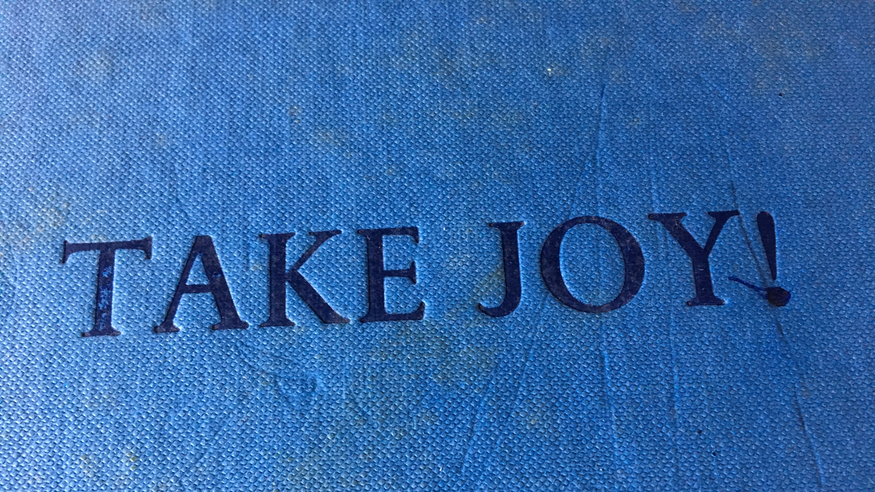 Joy