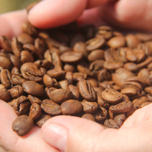 Guia Prático do Café: saiba tudo!