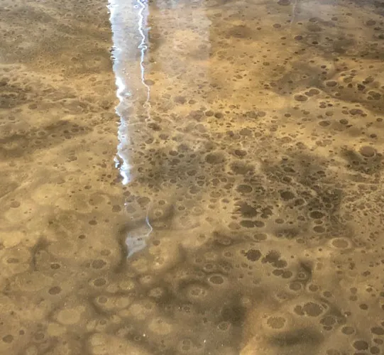 Concrete Flooring Services Creek Stone Resurfacing