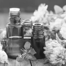 fleurs-bach-rescue_edited.jpg
