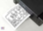 Printing Dinosaur Agamograph template.