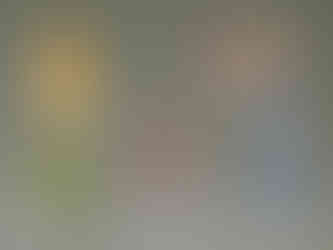 Dinosaur clothespin puppets.