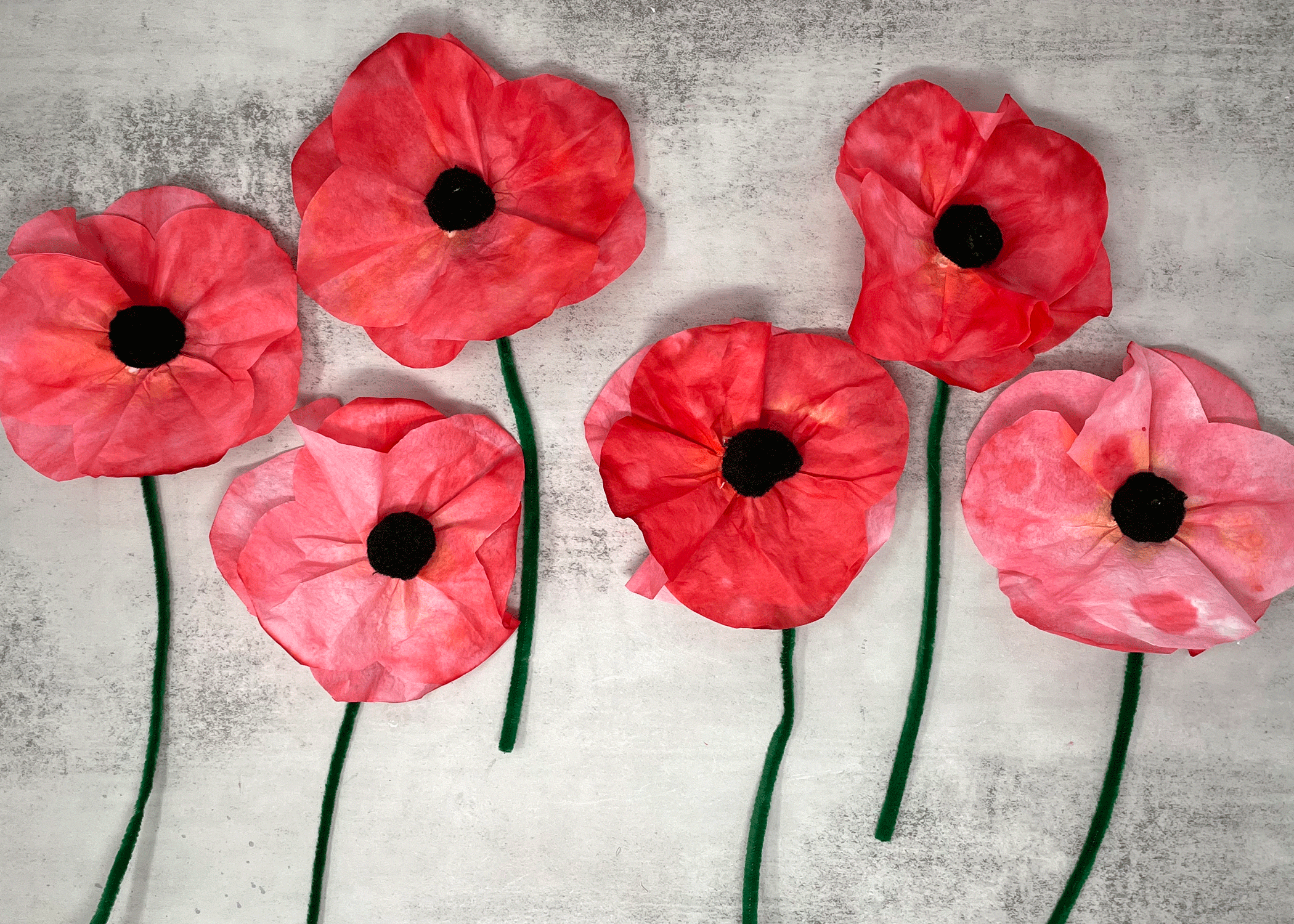 Coffee Filter Poppies.