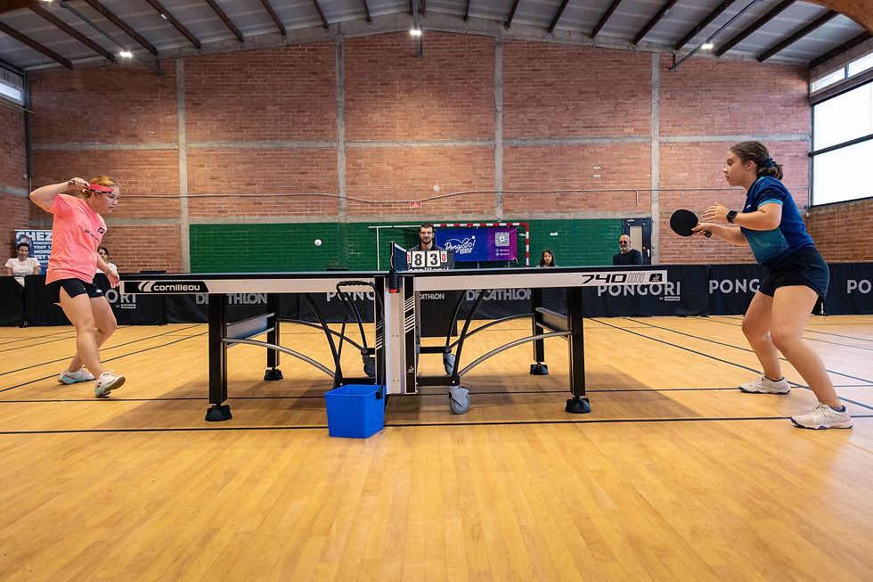 Démonstration Pingirl Albi