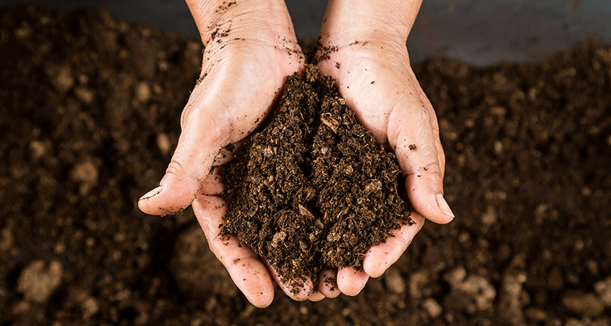 Becoming Compost