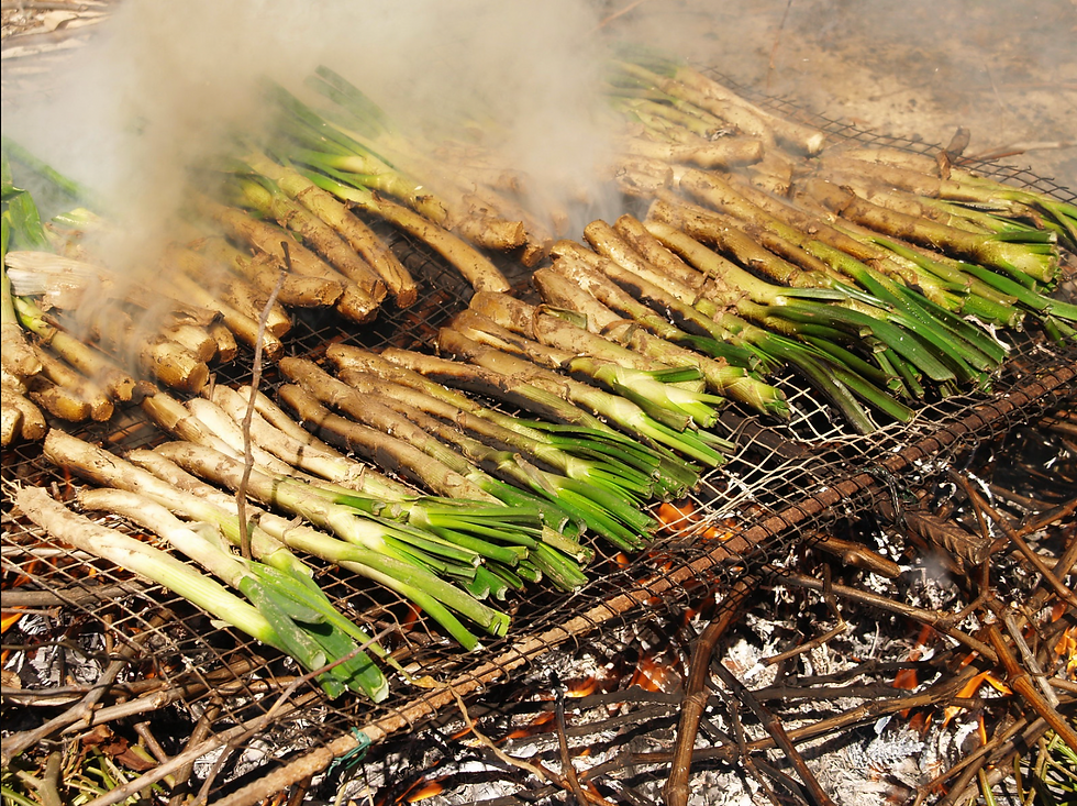 Calçots. Barcelona food.