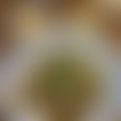 คั่วเข้ม