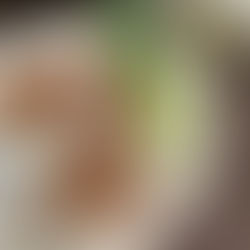 ร้านริมเลเฮ้าส์ RIM RAY HOUSE