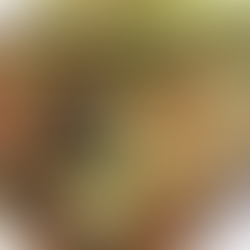 ร้านสองพี่น้อง