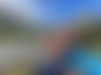 A Journey into the Great Unknown