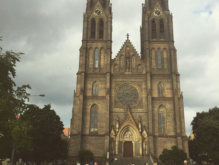 The Kiwi Flys (To Europe)