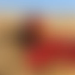 India is Not For Beginners