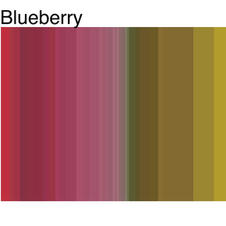 Blueberry in white vinegar