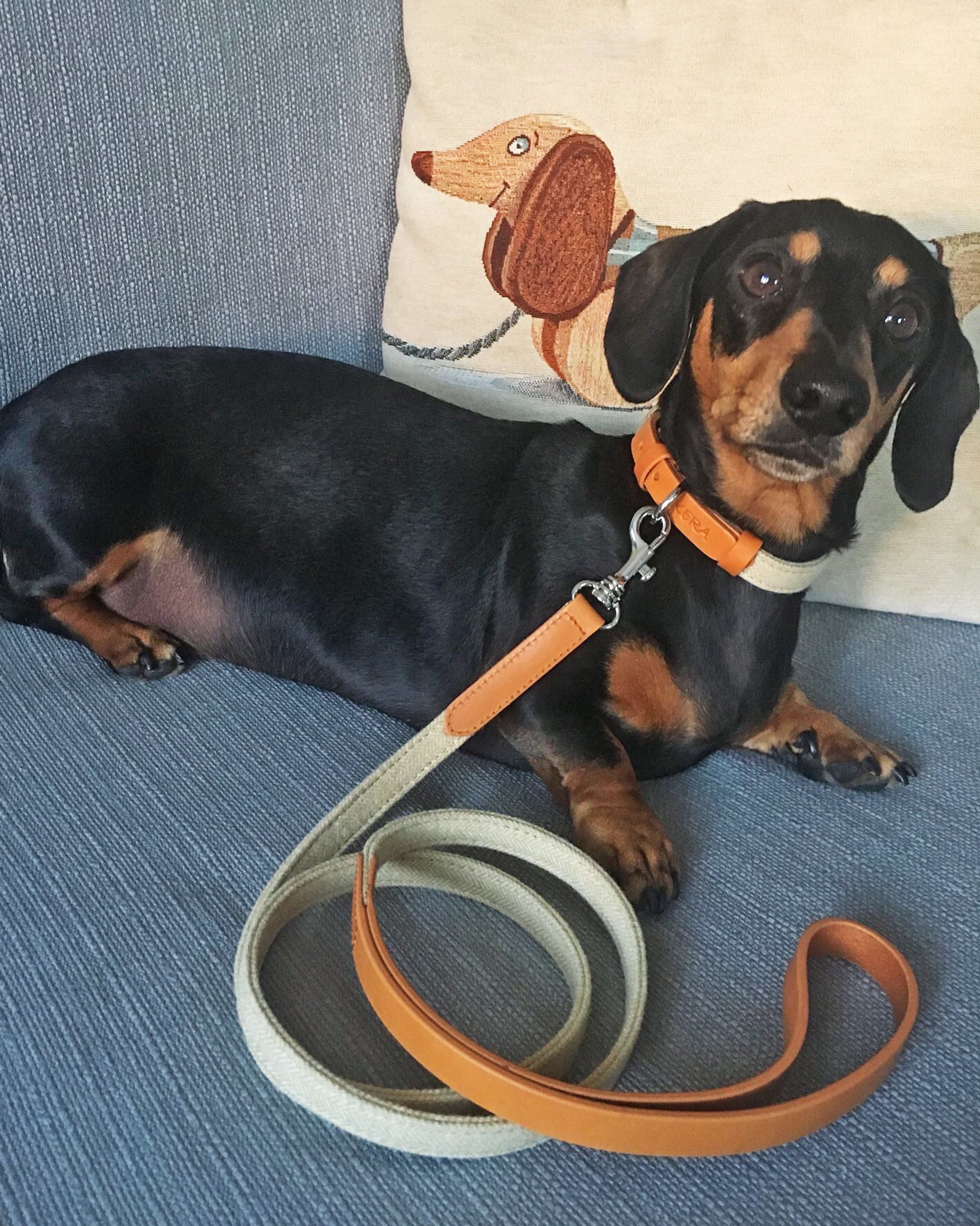 Clementine Tweed Set