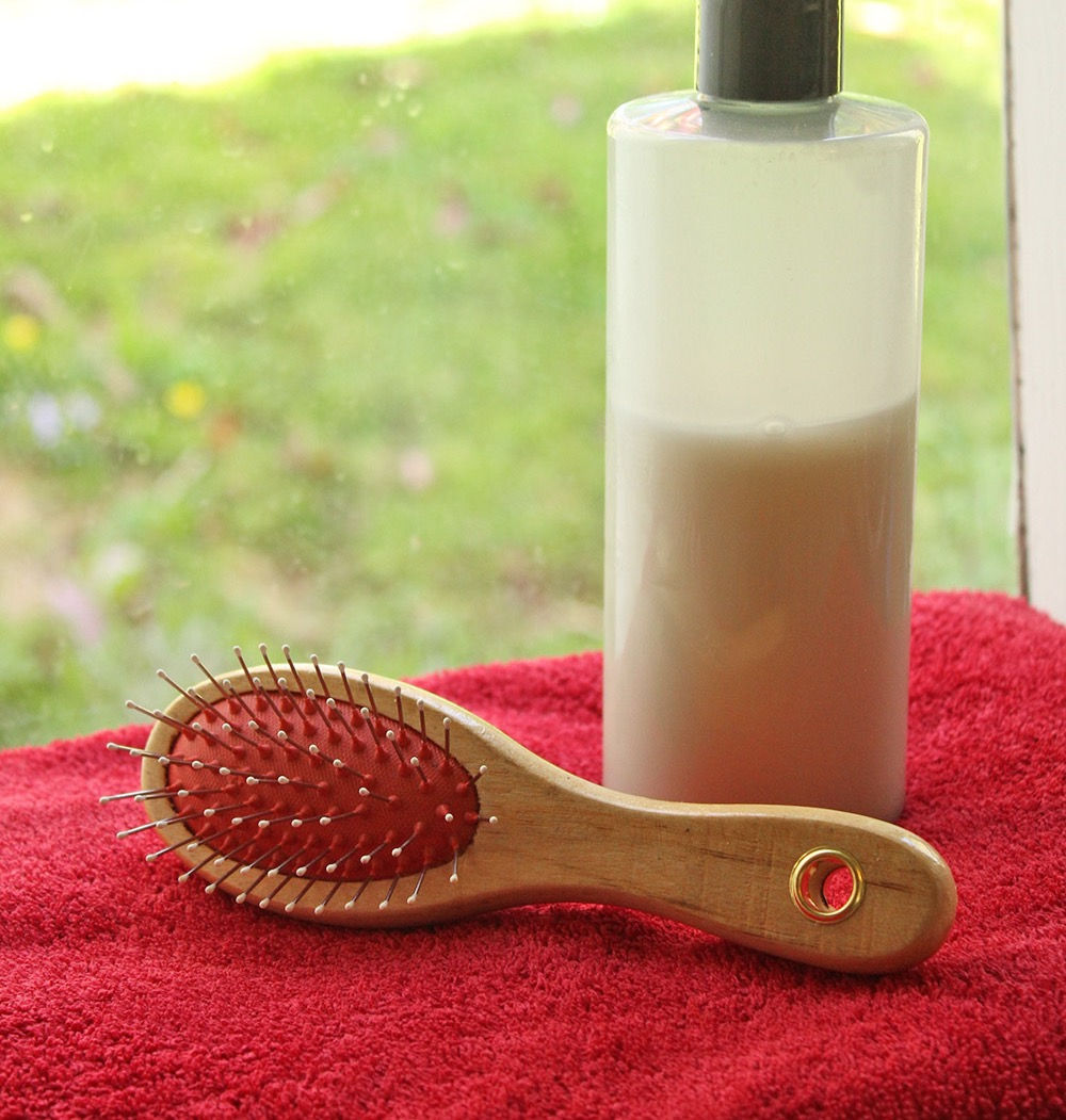 Double Sided Wooden Pet Brush