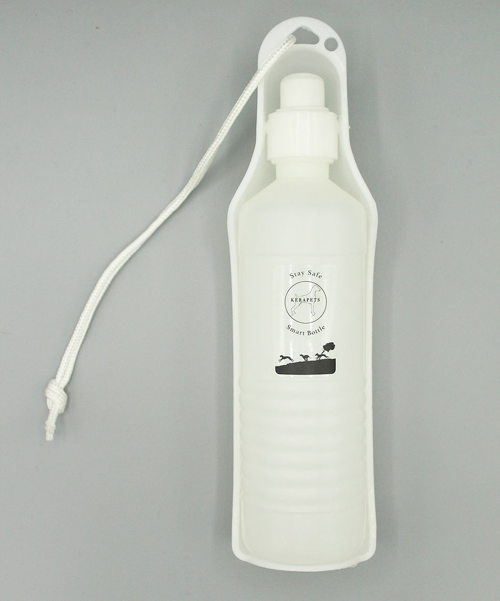 Thumbnail: Dog Travel Water Bottle/ Dispenser