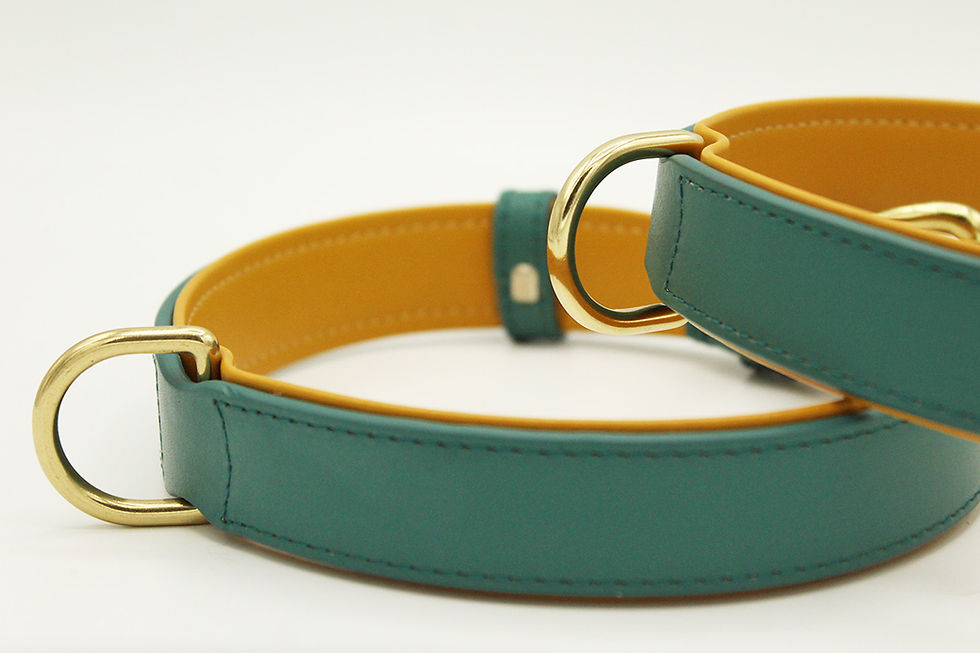 Thumbnail: Imperial Italian Leather Collar