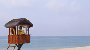 The Essential Guide to Lifeguard Training