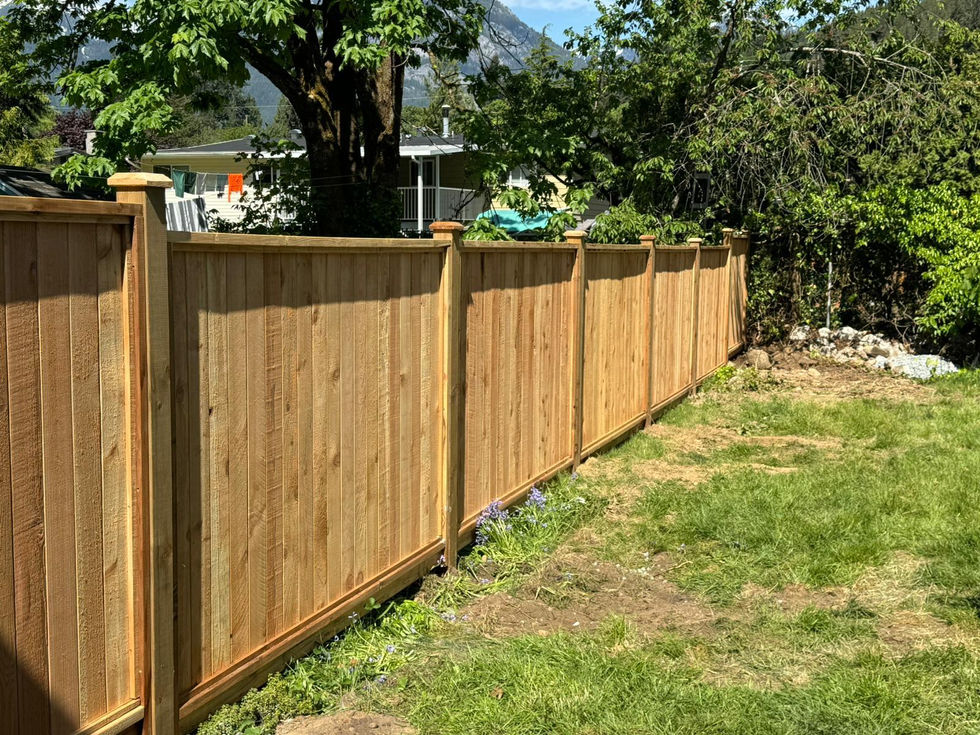 WhatsApp Image 2024-12-18 at 19.45.52_031f7543.jpg