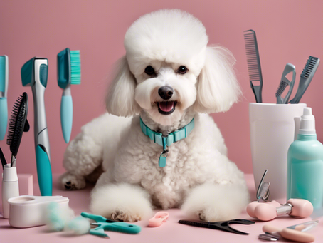 Myrtle Beach Pet Grooming Expo: Everything You Need!