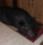 image0.jpeg
