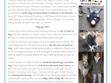February Newsletter!