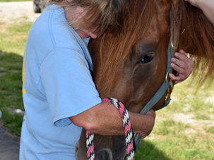 Waiting for 3 years for a Forever Home!