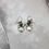 Thumbnail: Coin Pearl Fringe Earring