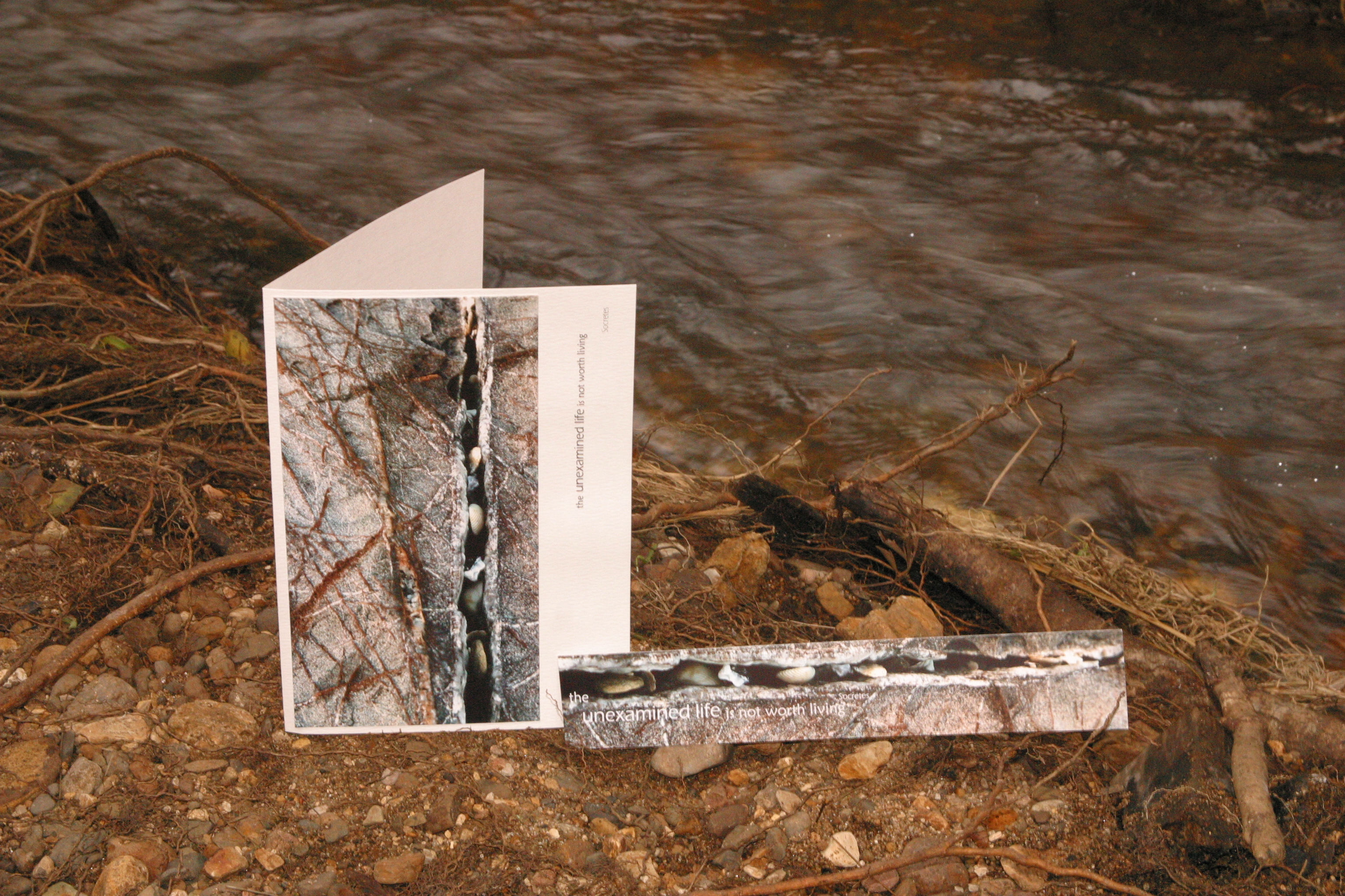 Quartz seam with shells: Greeting Card