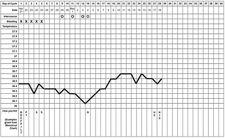 Sample Basel Chart, Ruth Sharkey