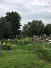 8d6b63b3-99f6-4d01-9f77-9a0f3ccf9c09.jpe