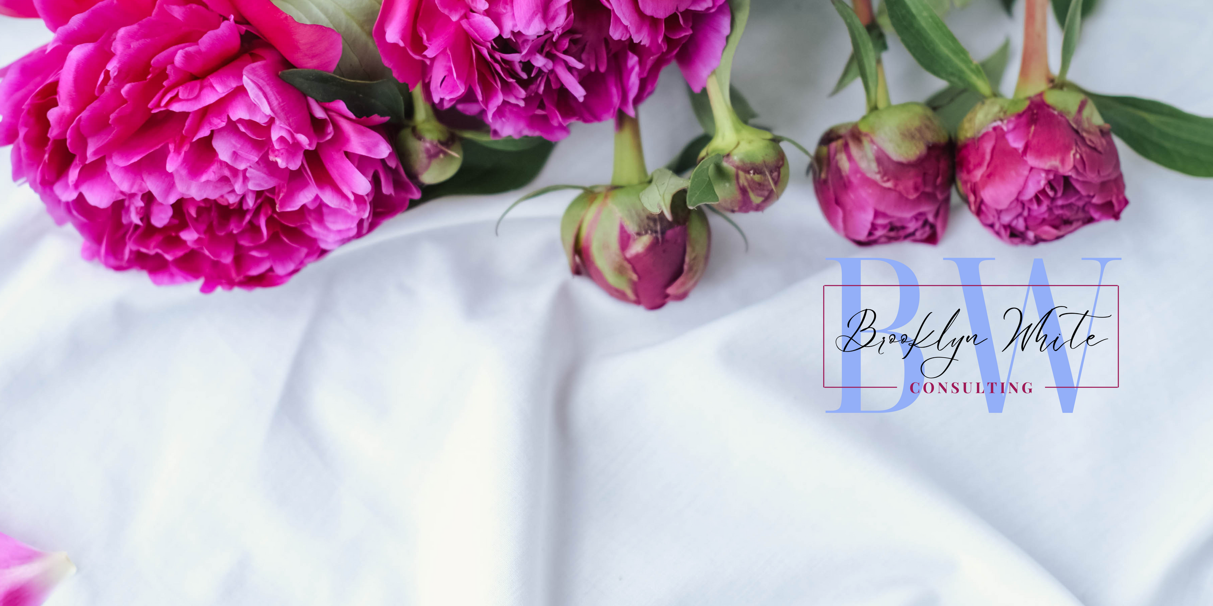 Brooklyn White Consulting, LLC