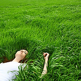Real grass vs synthetic grass