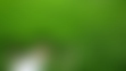 אנטי אייג'ינג וגיל המעבר