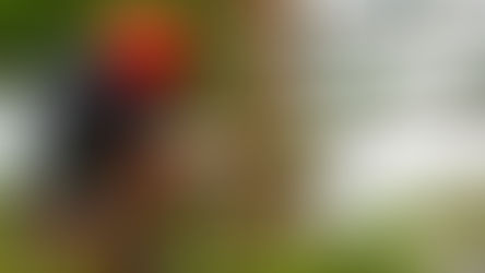 Ağaç Kesimi ve Budama İşlemlerinde Alınması Gereken İş Güvenliği Önlemleri