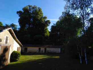 IMG_20220613_195458.jpg