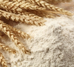 Good breadmaking quality emerging in wheat variety pipeline