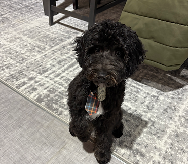 IMG_1838.HEIC