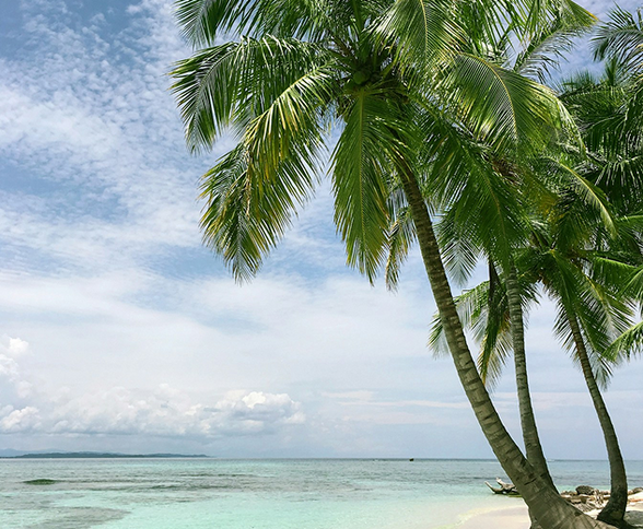 Rectangle 921440.png