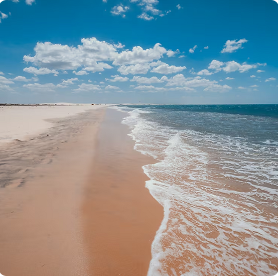 Rectangle 4271 (1).png