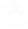 PNG-Transparent-file 1.png
