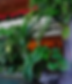 Rectangle 39 (5).png